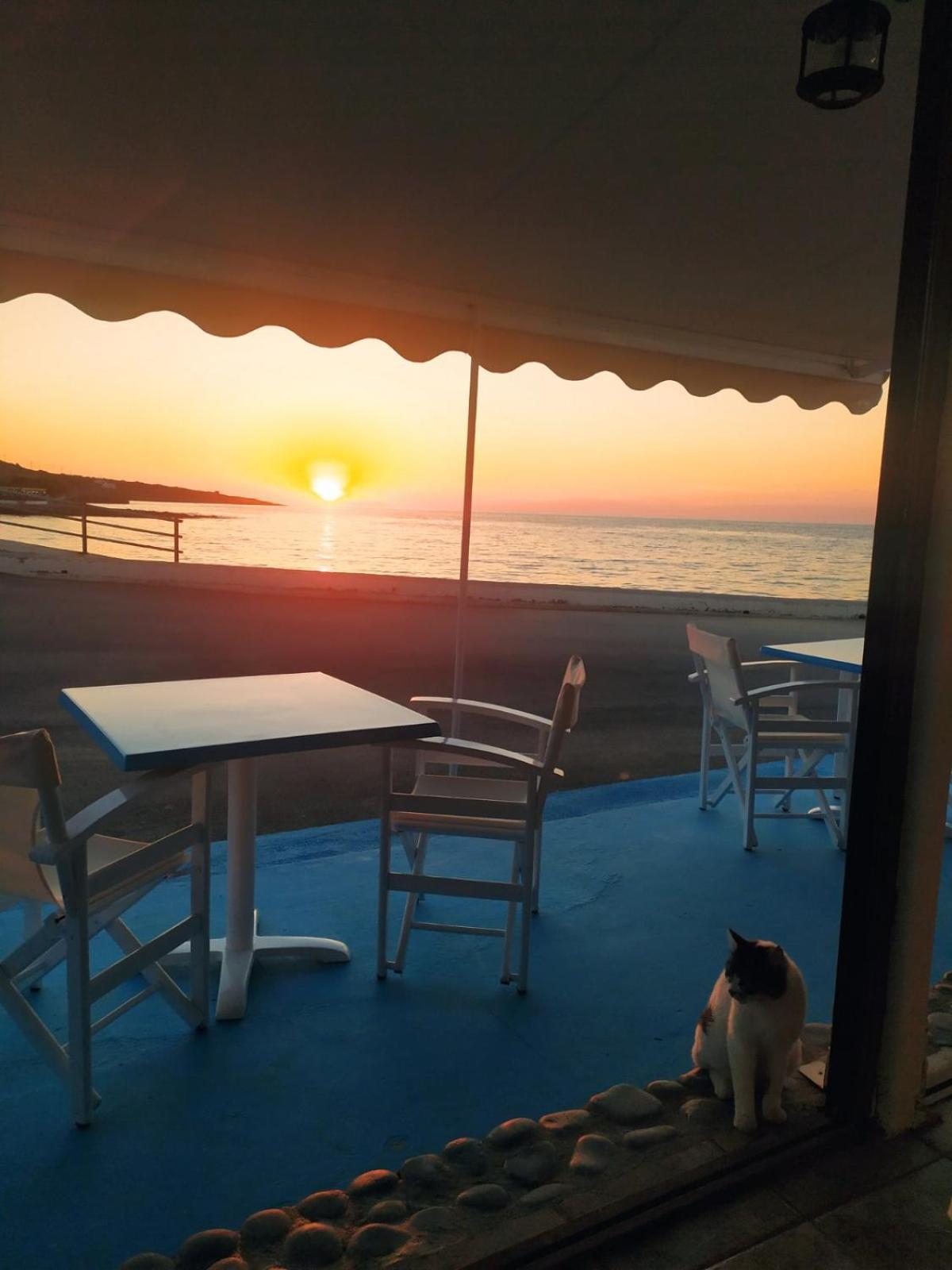 Meltemi Beach Apartments Milatos Bagian luar foto
